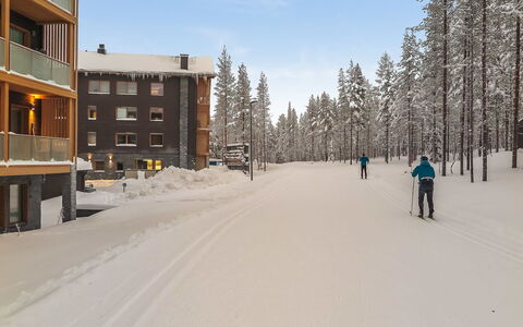 Levi Hillside: Træ, Sommerhus, Bjælkehytte, Skov, Skur, Garden Bygninger, Lærk, Woodland, Bejdse