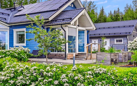 Villa Paasirinne a: Blå, Blomst, Hus, Busk, Hjem, Sommerhus, Tag, Have, Forår