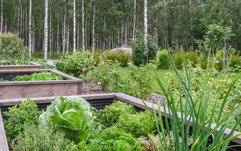 Villa Paasirinne a: Sommerhus, Hus, Hjem, Garden Bygninger, Sidespor, Bjælkehytte, Stuehus, Estate, Skur, Gård