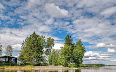 Inninniemi: Træ, Sommerhus, Bjælkehytte, Skov, Skur, Garden Bygninger, Lærk, Woodland, Bejdse