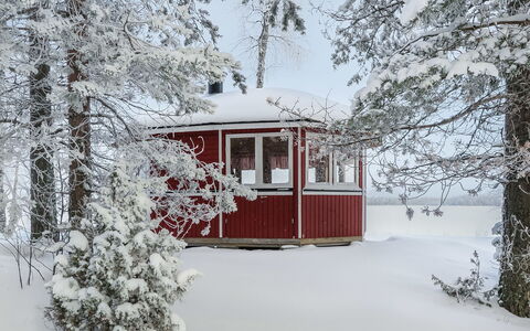 Inninniemi: Træ, Sommerhus, Bjælkehytte, Skov, Skur, Garden Bygninger, Lærk, Woodland, Bejdse