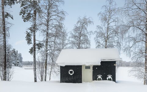 Inninniemi: Træ, Sommerhus, Bjælkehytte, Skov, Skur, Garden Bygninger, Lærk, Woodland, Bejdse