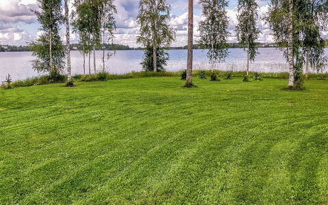Inninniemi: Træ, Sommerhus, Bjælkehytte, Skov, Skur, Garden Bygninger, Lærk, Woodland, Bejdse