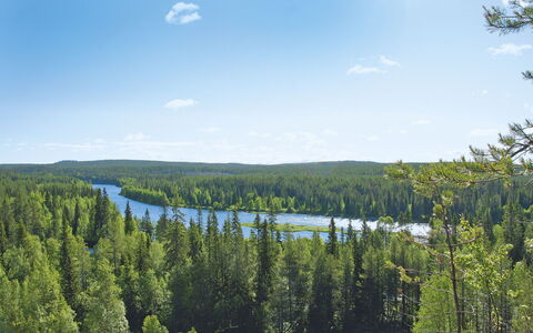 Keskiniemi: Sky, Himmel, Vand, Plante, Naturlige Landskab, Sø, Lærk, Evergreen, Vandløb, Bank