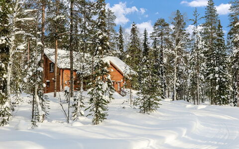 Tervakko: Sommerhus, Hus, Hjem, Garden Bygninger, Sidespor, Bjælkehytte, Stuehus, Estate, Skur, Gård
