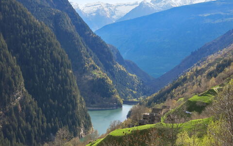 Rustico Cà Dru Lurenz: Vand, Himmel, Plante, Naturlige Landskab, Golfbane, Træ, Vegetationen, Land Lot, Highland