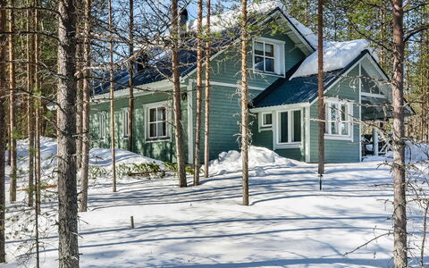 Huuhkalinna: Træ, Vinter, Sne, Hjem, Sommerhus, Fryser, Sidespor, Bjælkehytte, Is