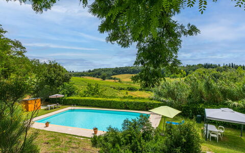 Castellina in Chianti 975: Vand, Plante, Sky, Himmel, Svømmepøl, Azure, Skygge, Naturlige Landskab, Træ, Rektangel