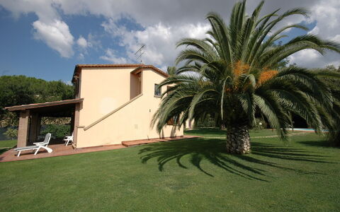 Poderino: Ejendom, Palme Træ, Hus, Græs, Arecales, Træ, Hjem, Ejendom, Attalea Speciosa, Bygning