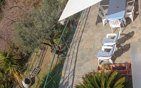 Villa Pia Con Piscina a Recco: Vegetationen, Væg, Arkitektur, Botanik, Træ, Hus, Plante, Tag, Geologiske Fænomen, Ferie