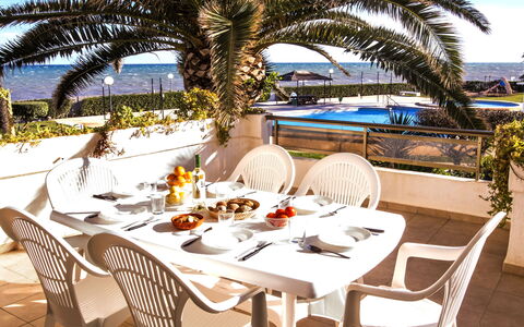 Laguna Beach Plus: Bord, Plante, Møbel, Ejendom, Himmel, Stol, Bordservice, Træ, Udendørs Møbler, Arecales