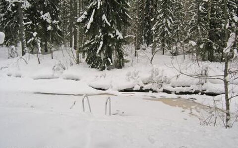 Puikkokoski: Træ, Sommerhus, Bjælkehytte, Skov, Skur, Garden Bygninger, Lærk, Woodland, Bejdse