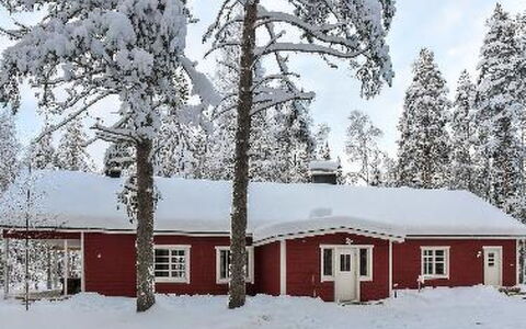 Puikkokoski: Træ, Sommerhus, Bjælkehytte, Skov, Skur, Garden Bygninger, Lærk, Woodland, Bejdse