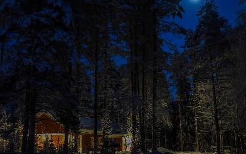 Puikkokoski: Træ, Sommerhus, Bjælkehytte, Skov, Skur, Garden Bygninger, Lærk, Woodland, Bejdse