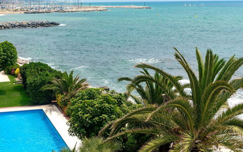 Acuario: Vegetationen, Palme Træ, Azure, Ejendom, Træ, Hav, Turquoise, Tropics, Arecales, Ocean
