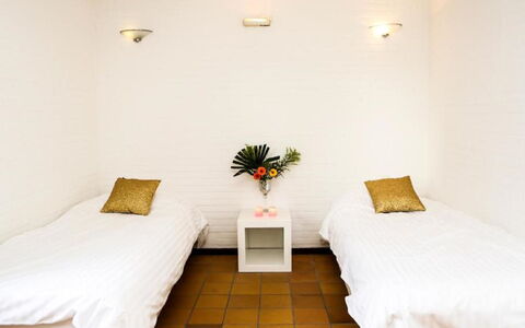 Bungalowpark Landsrade: Plante, Ejendom, Møbel, Komfort, Dekoration, Textile, Træ, Indretning, Blomst, Gulvbelægning