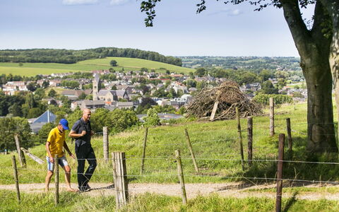 Bungalowpark Landsrade: Plante, Himmel, Plantesamfund, Træ, Sky, Naturlige Landskab, Græs, Græs-, Fritid