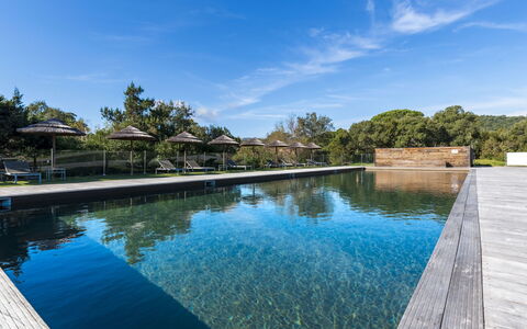 Porto Vecchio 150: Vand, Himmel, Vandressourcer, Sky, Blå, Plante, Azure, Træ, Svømmepøl, Naturlige Landskab