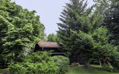 Menardi