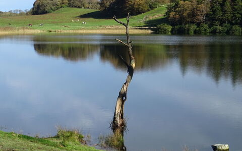 Lake District Coastal Cottage: Krop Af Vand, Vandressourcer, Naturlige Landskab, Vand, Sø, Dam, Reservoir, Afspejling, Bank, Loch