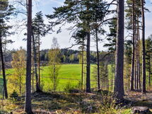 Fengersfors