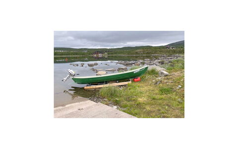 Haltinsaana: Træ, Sommerhus, Bjælkehytte, Skov, Skur, Garden Bygninger, Lærk, Woodland, Bejdse