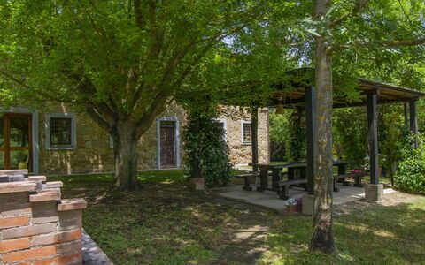 Casa dei Ciliegi: Plante, Vindue, Blad, Træ, Land Lot, Skygge, Græs, Vedplante, Dør, Naturlige Landskab