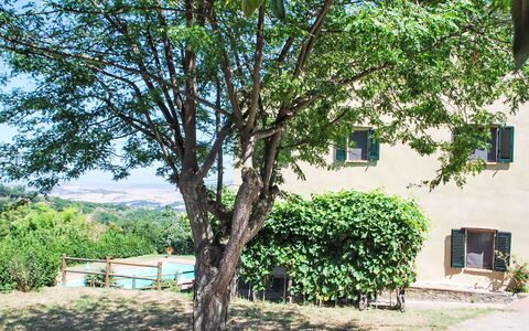 Podere Valle di Sotto: Træ, Blad, Afdeling, Forår, Skygge