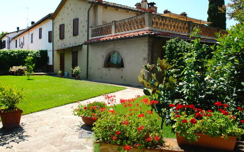 Castellina in Chianti 865: Ejendom, Hus, Bygning, Hacienda, Ejendom, Hjem, Villa, Gårdsplads, Have, Plante