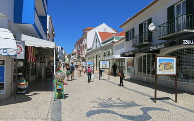 Vila Hortencia