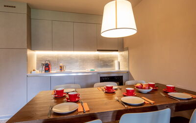 Feriebolig:&nbsp;Swisspeak Resorts Zinal 9000.101