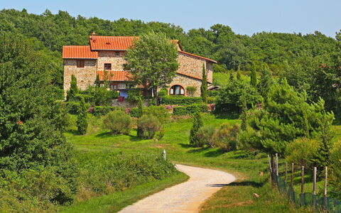 Gaiole in Chianti 880: Plante, Himmel, Bygning, Naturlige Landskab, Land Lot, Hus, Træ, Sommerhus, Græs, Busk