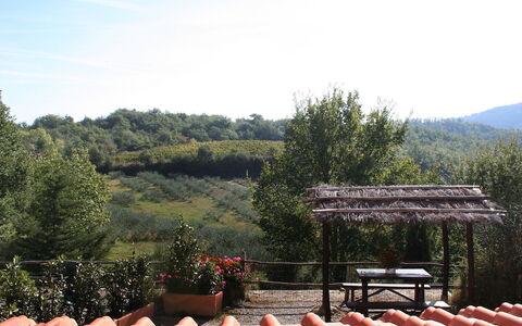 Gaiole in Chianti 880: Tag, Ejendom, Botanik, Træ, Ejendom, Landdistrikt, Himmel, Hill Station, Hus, Have