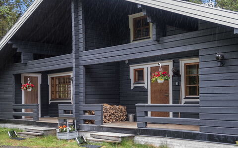 Rukantaika 1A: Træ, Sommerhus, Bjælkehytte, Skov, Skur, Garden Bygninger, Lærk, Woodland, Bejdse