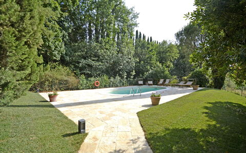 Villa Del Castagno: Ejendom, Svømmepøl, Græs, Have, Hus, Estate, Træ, Lawn, Gård, Ejendom