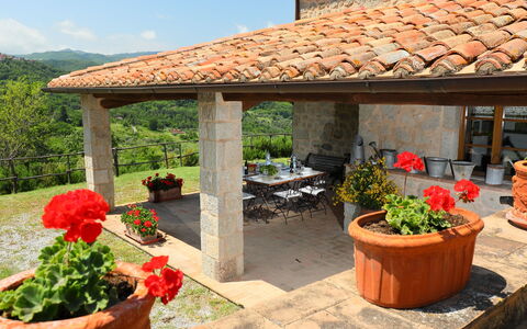 Podere dei Venti: Ejendom, Gårdhave, Bygning, Backyard, Landscaping, Pergola, Ejendom, Gård, Landskab, Have