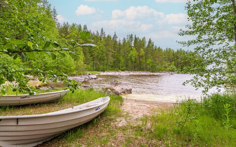 Kainalolahti: Vand, Vandressourcer, Krop Af Vand, Grøn, Træ, Natur, Naturligt Miljø, Vegetationen, Naturlige Landskab