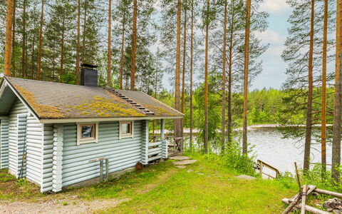 Kainalolahti: Træ, Sommerhus, Skov, Woodland, Landdistrikt, Bjælkehytte, Lærk, Naturreservat, Garden Bygninger