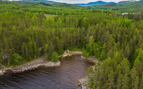 Kainalolahti: Træ, Naturlige Landskab, Skov, Bank, Landskab, Ødemark, Lærk