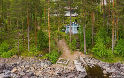 Kainaloranta: Træ, Træ, Sommerhus, Skov, Bank, Woodland, Bjælkehytte, Lærk, Kyst