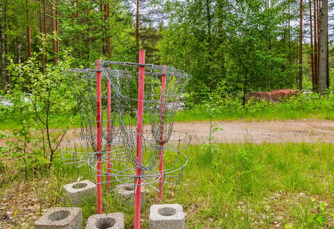 Kainaloranta: Plantesamfund, Bunddække, Skov, Woodland, Lund, Have, Jord, Parkere
