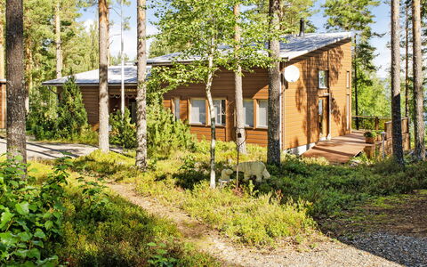 Pielislinna Loma-Koli: Træ, Bank, Hus, Sommerhus, Sø, Dam, Skov, Bjælkehytte