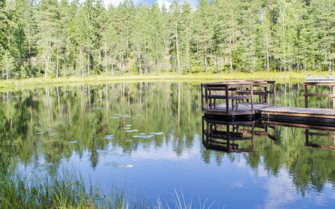 Otsopirtti, Maria: Træ, Bank, Hus, Sommerhus, Sø, Dam, Skov, Bjælkehytte