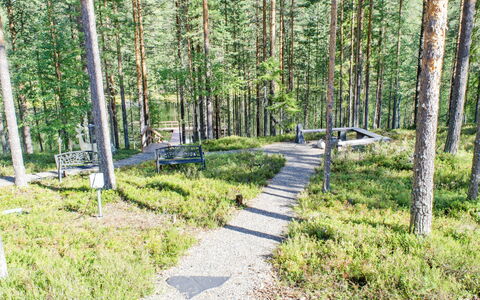 Otsopirtti, Otso: Træ, Sommerhus, Bjælkehytte, Skov, Skur, Garden Bygninger, Lærk, Woodland, Bejdse
