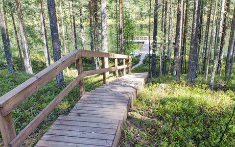Otsopirtti, Otso: Træ, Sommerhus, Bjælkehytte, Skov, Skur, Garden Bygninger, Lærk, Woodland, Bejdse