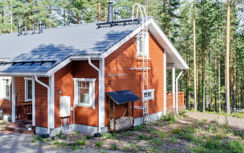 Otsopirtti, Otso: Træ, Sommerhus, Bjælkehytte, Skov, Skur, Garden Bygninger, Lærk, Woodland, Bejdse