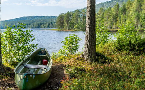 Hiisiranta B3: Træ, Sommerhus, Bjælkehytte, Skov, Skur, Garden Bygninger, Lærk, Woodland, Bejdse