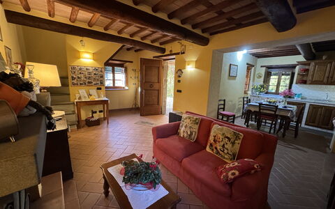 Batticapo di Ilaria: Ejendom, Couch, Bord, Møbel, Indretning, Belysning, Stue, Billedramme, Studio Couch, Træ