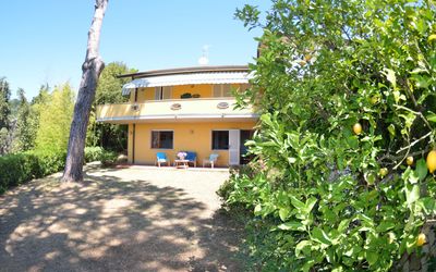 Il Corbezzolo