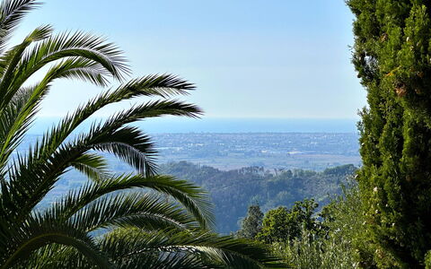 Borgo Bucatra Buonvento: Himmel, Naturlige Landskab, Terrestrisk Plant, Vegetationen, Arecales, Træ, Landskab, Plante, Palme Træ, Skov